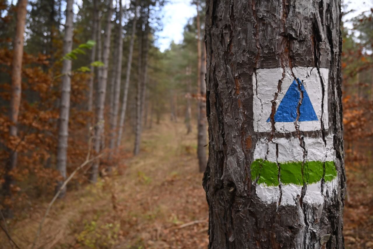 Természetközeli szállás