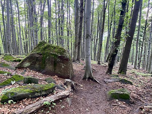 Parádsasvári Sasfészek