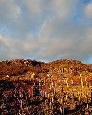 Csipke Somló Vendégház