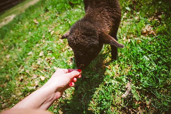 Déjá Vu Szállás és Rendezvény
