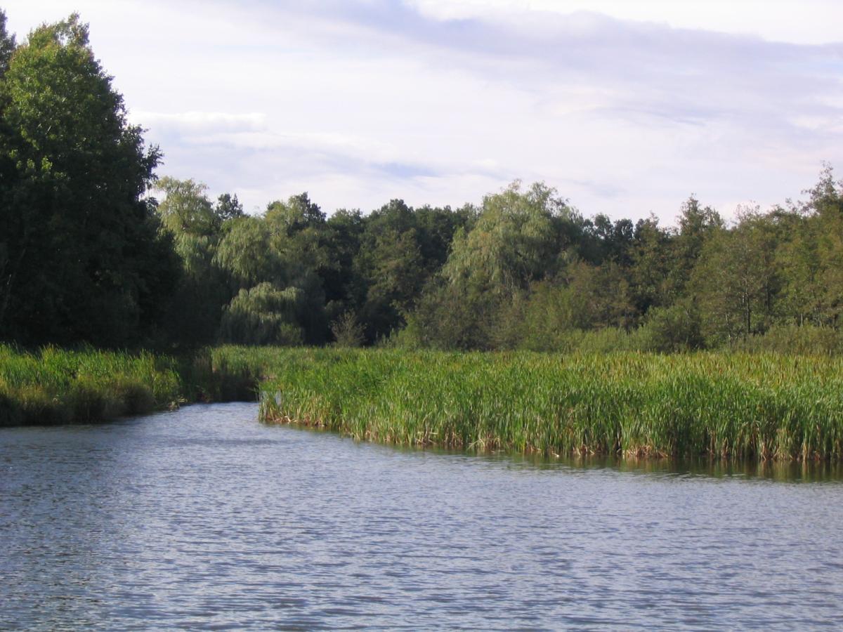 Mátrafüred – Sás-tó – Benevár körtúra