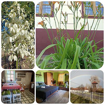 Póni Kuckó Vendégház és Minifarm