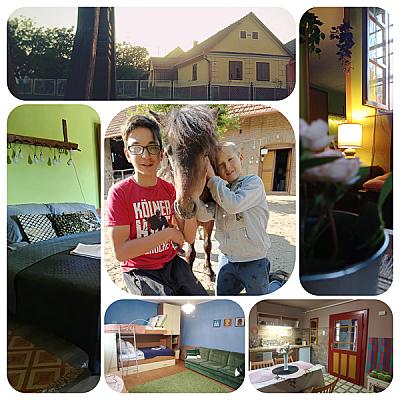 Póni Kuckó Vendégház és Minifarm