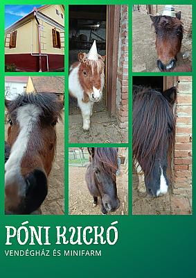 Póni Kuckó Vendégház és Minifarm