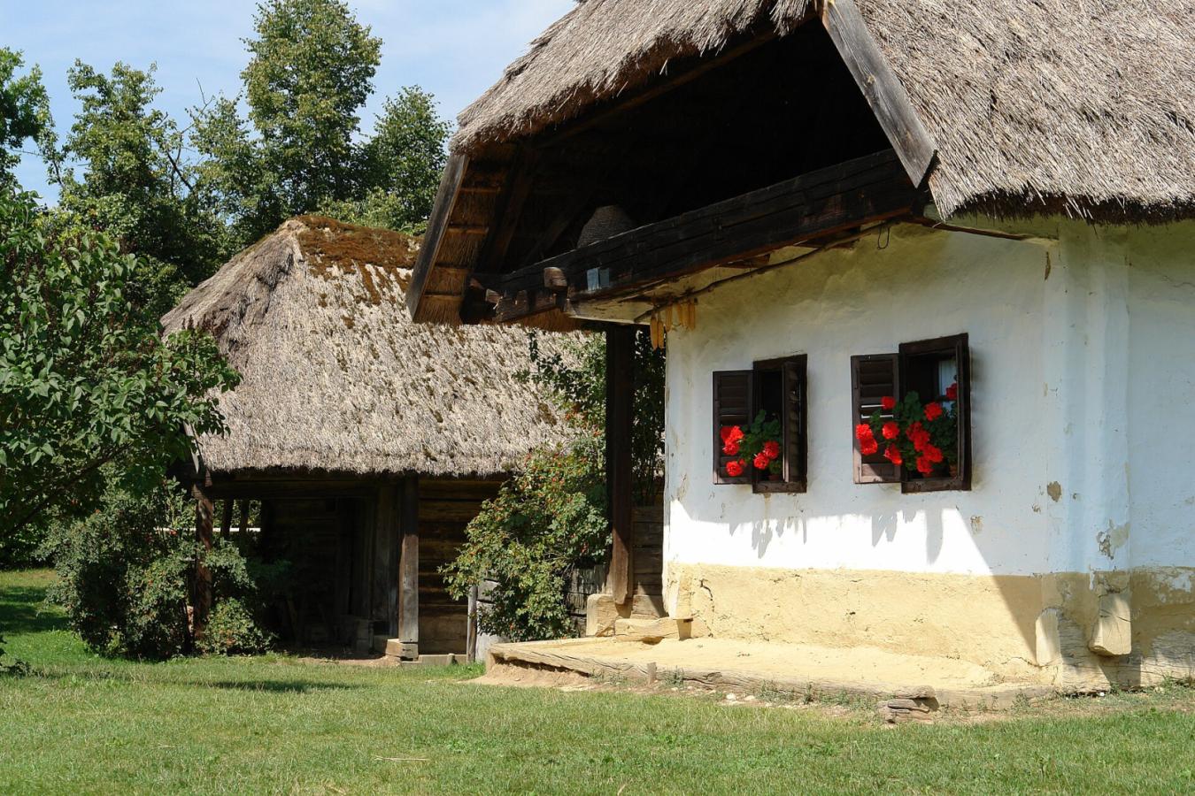 Szalafő körtúra: szerről szerre – Pityerszer – bölények – Fekete-tó