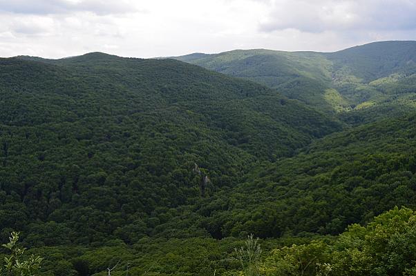 Pirító-kő