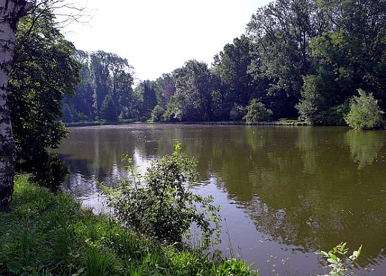 Zirci Arborétum
