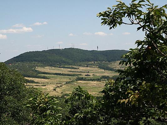 Fenyőgyöngye családi kör: Árpád-kilátó – Hármashatár-hegy – Tábor-hegyi-barlang