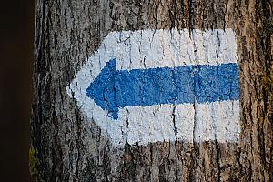 Rockenbauer Pál Dél-dunántúli Kéktúra