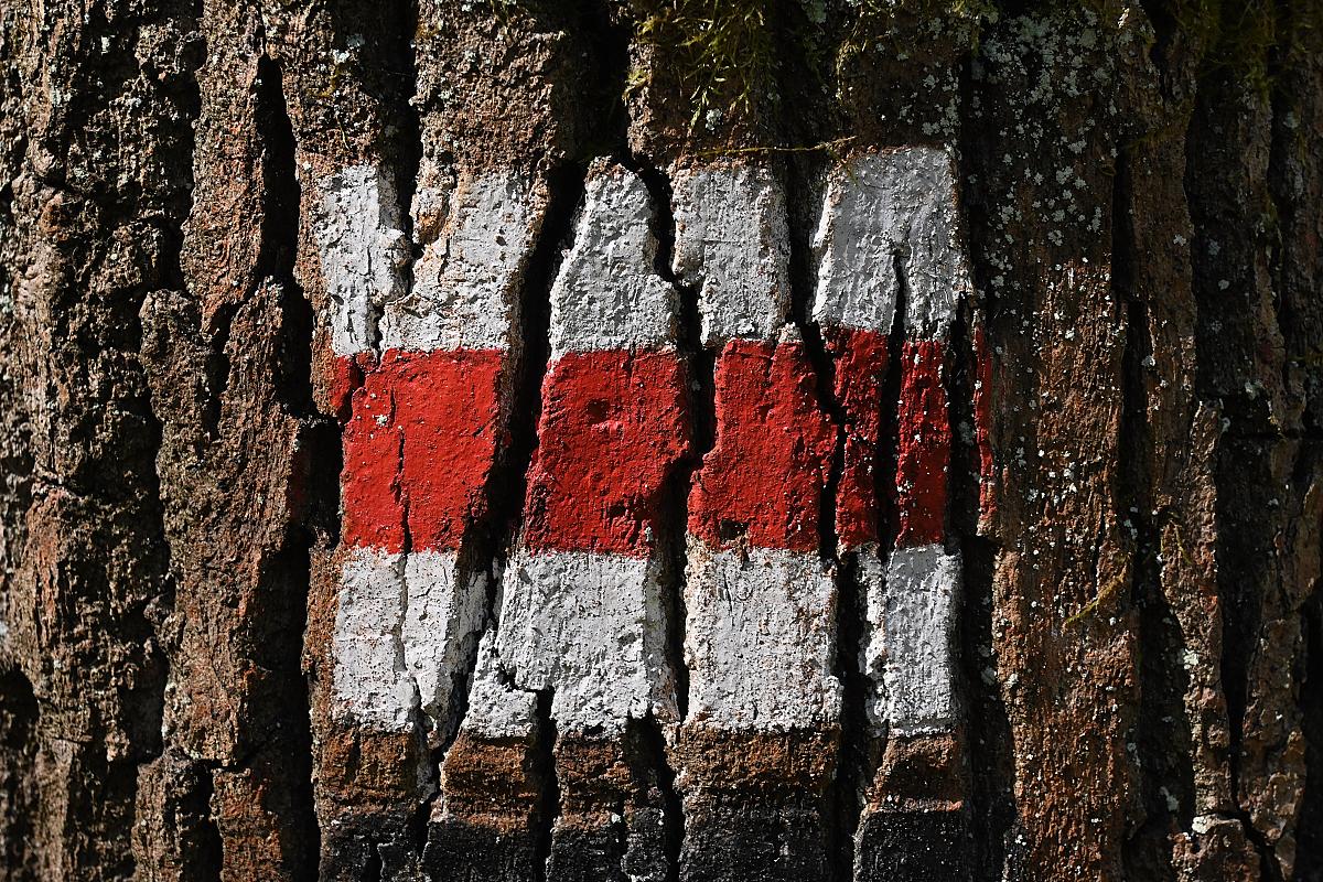 Dél-dunántúli Piros