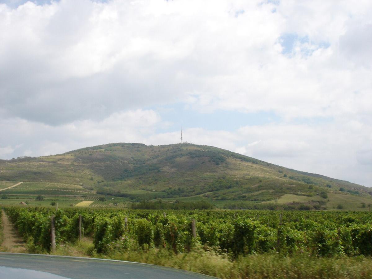 Tarcal körtúra: Könyves Kálmán-emlékmű – Kassai-hegy – Kopasz-hegy (Tokaji-hegy)