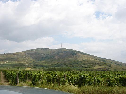 Kopasz-hegy (Tokaji-hegy)