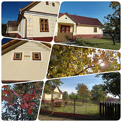 Póni Kuckó Vendégház és Minifarm