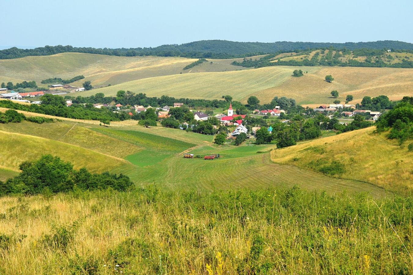 Gömörszőlős körtúra: Naprágy – Szélmalom-tető