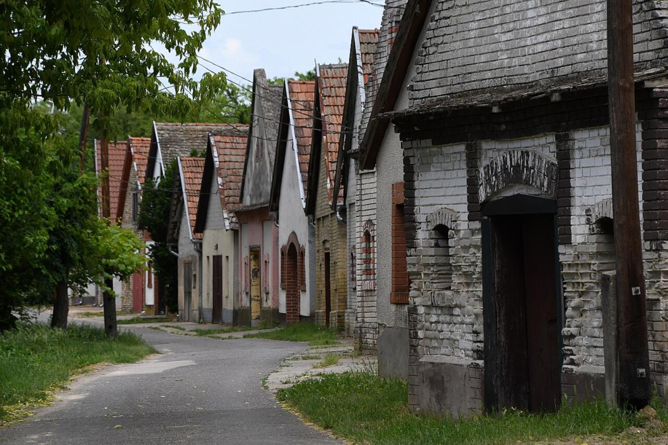 Császártöltés – Vörösmocsár tanösvény – Hajósi pincefalu