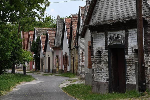 Császártöltés – Vörösmocsár tanösvény – Hajósi pincefalu