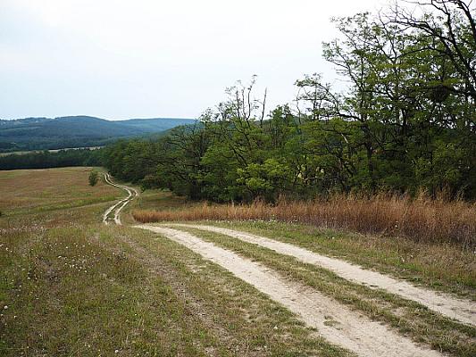 Erdőkertes – Margita – Babati templomrom – Domonyvölgy