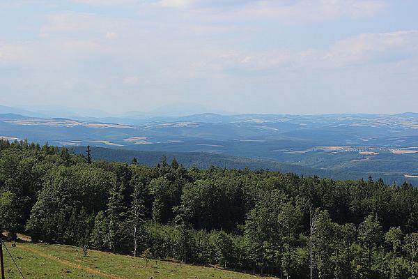 Kendig