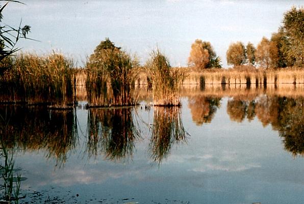Vajai-tó