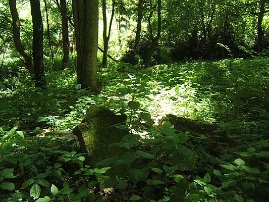 Zselici Csillagpark családi kör: Márcadó – Kardosfa – Ropolyi-tó – Dugás-kút