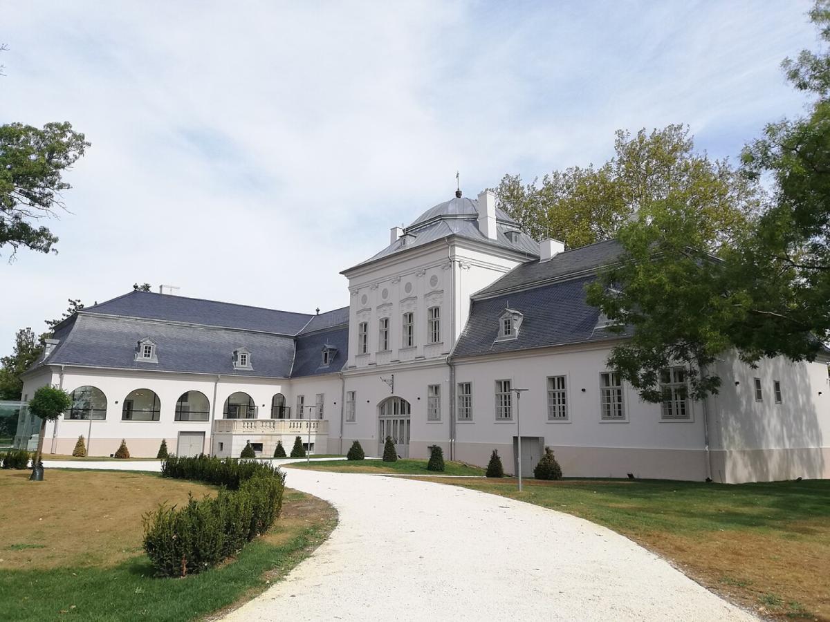 Geszt – Százéves-fa – madármegfigyelő torony körtúra a Kis-Sárréten