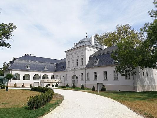 Geszt – Százéves-fa – madármegfigyelő torony körtúra a Kis-Sárréten