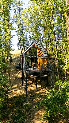 Green House - why not?