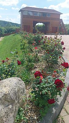 RÓZSAPARK VENDÉGHÁZ