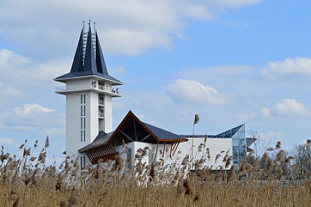 Tisza-tó