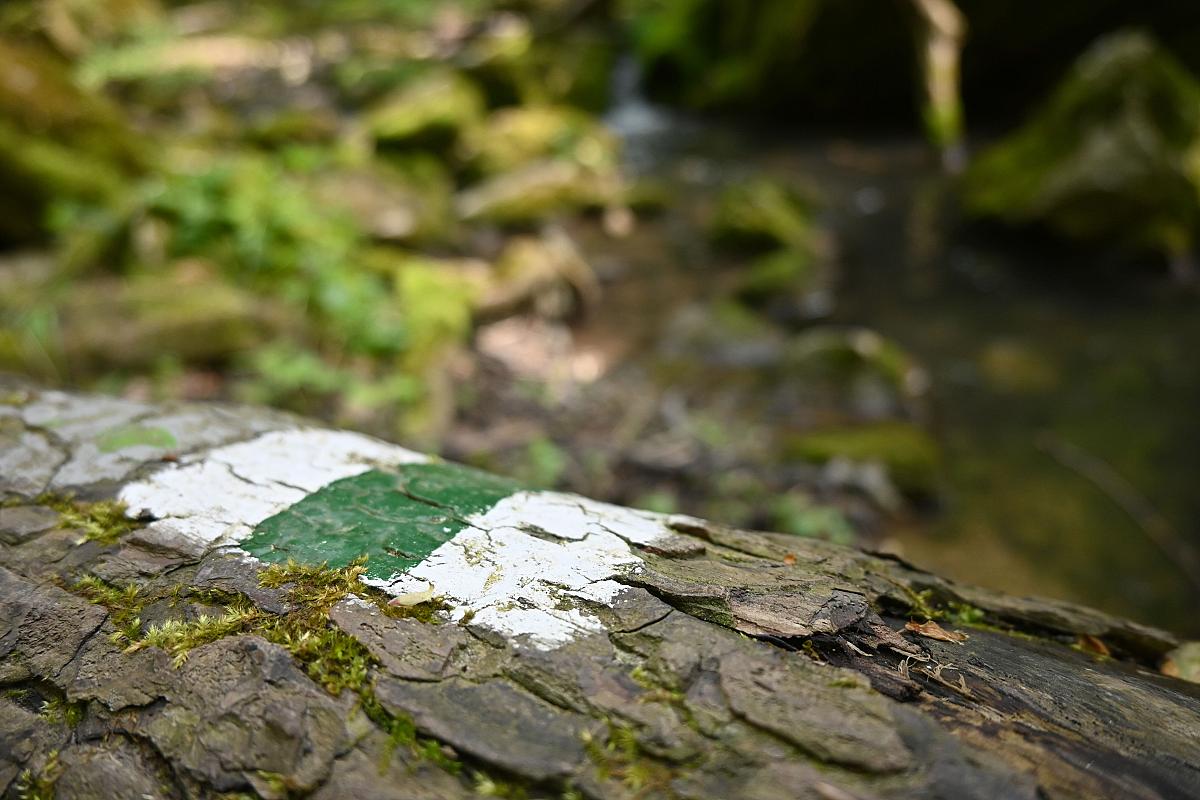 Rómer Flóris emlékút