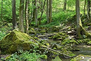 Rómer Flóris emlékút