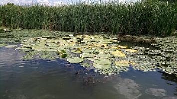 Tisza-tó - Bükk túraútvonal