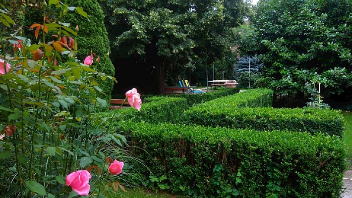 Ciszterci Szállás Pécs