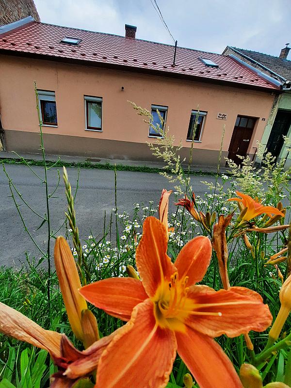 Kis Rigó vendégház