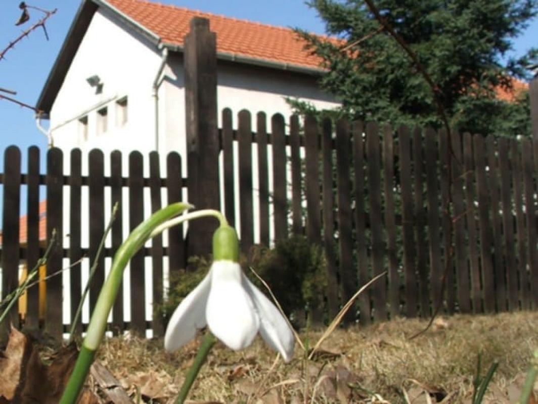 Várgesztesi Vadászház