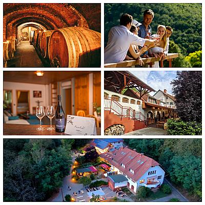 Hetényi Pincészet és Apartmanház